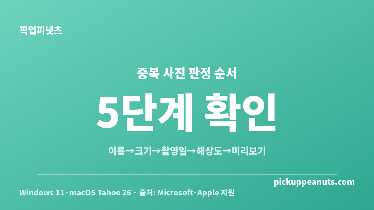 앱 없이 중복 사진 직접 찾기에서 파일명부터 미리보기까지 확인하는 5단계 판정 순서