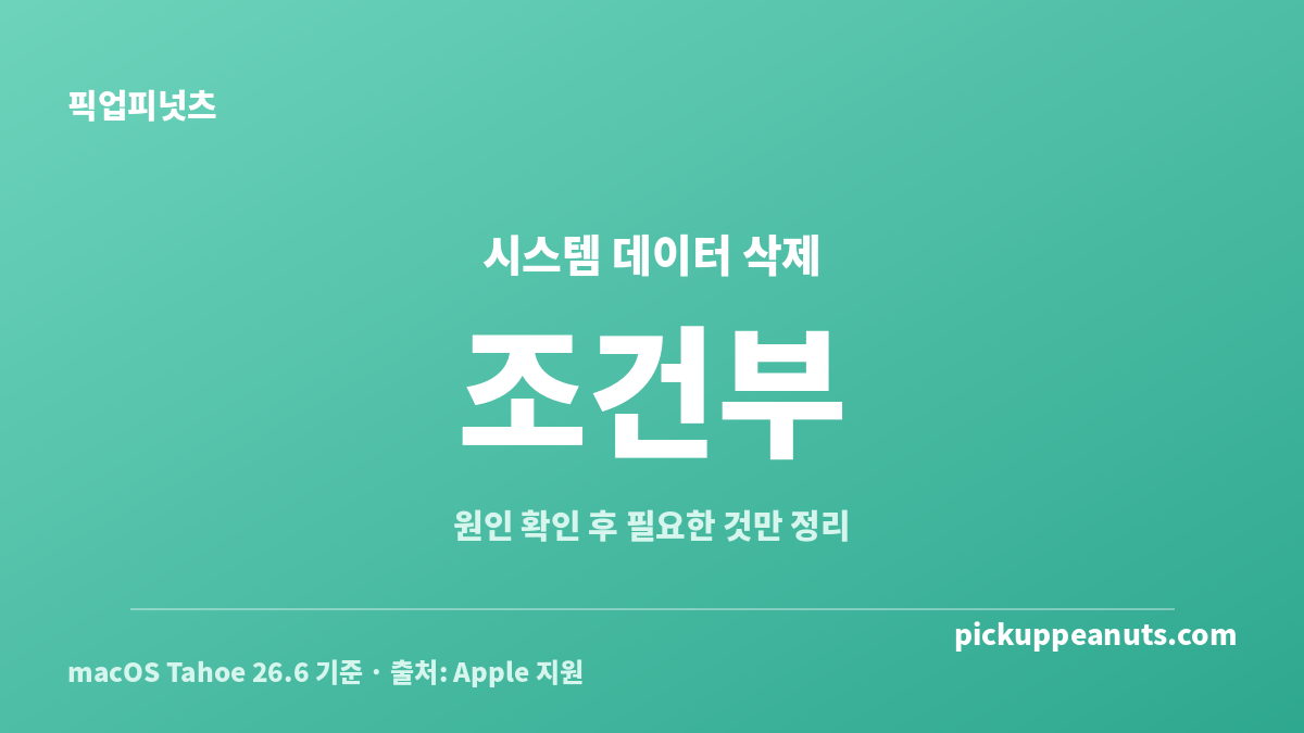 맥 시스템 데이터가 큰 이유를 확인한 뒤 원인별 삭제 안전성을 구분하는 판정 카드