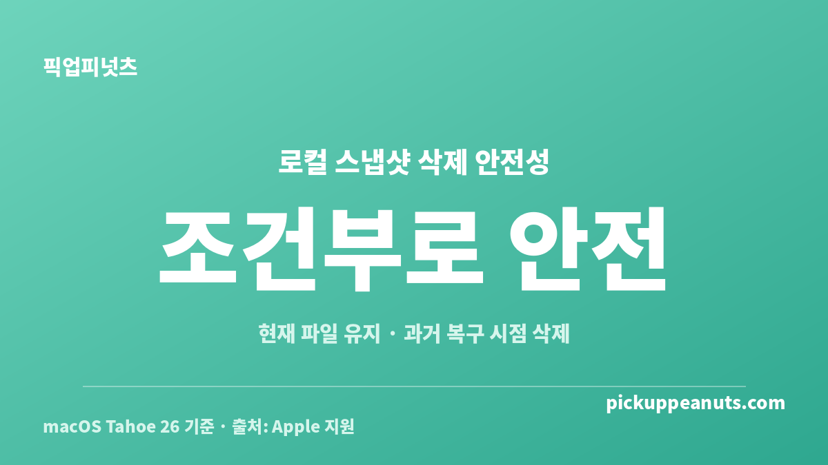 맥 타임머신 로컬 스냅샷 삭제 시 현재 파일과 과거 복구 시점의 차이를 설명한 안전성 카드