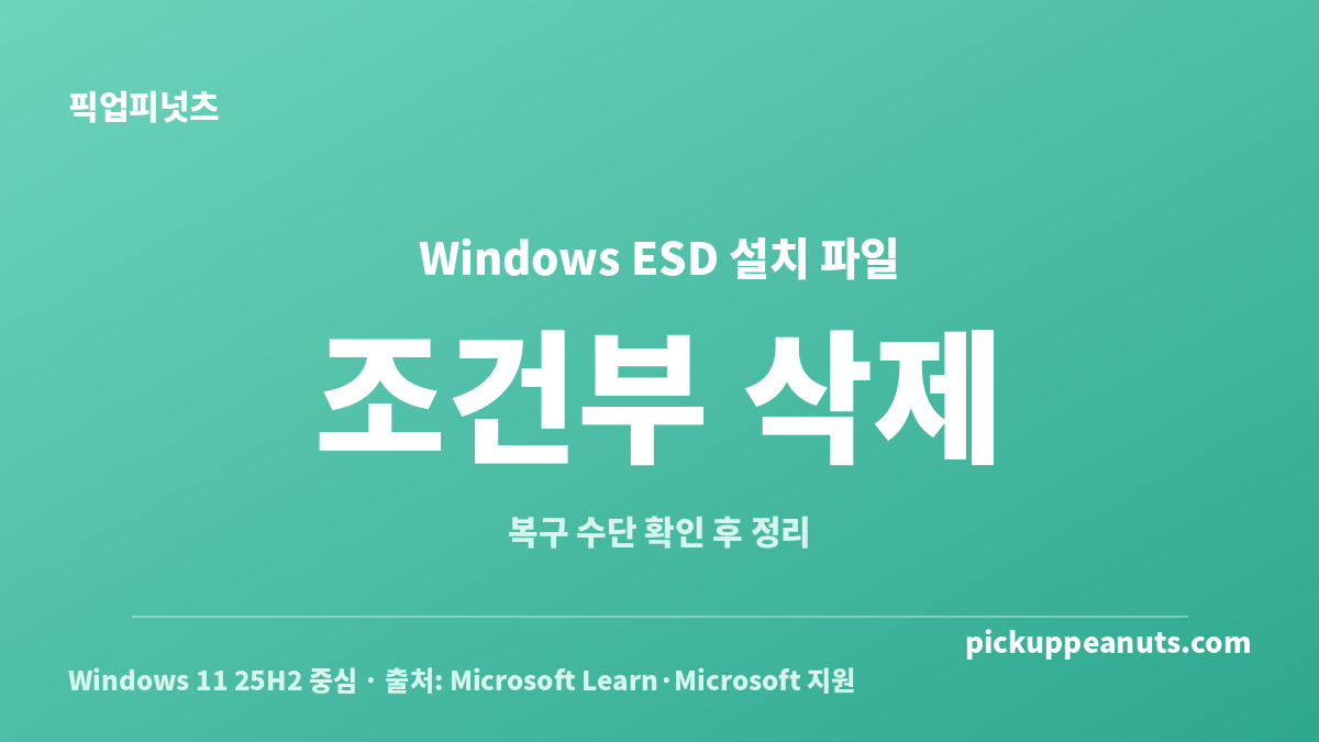 윈도우 설치 파일(ESD) 삭제가 조건부 안전하다는 Windows 11 판단 카드
